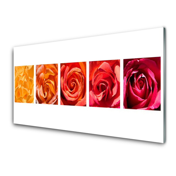 Tableaux sur verre Roses floral jaune orange rouge