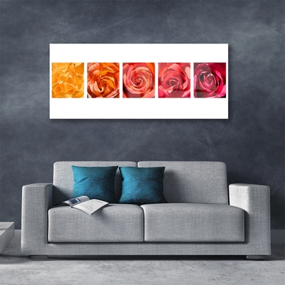 Tableaux sur verre Roses floral jaune orange rouge