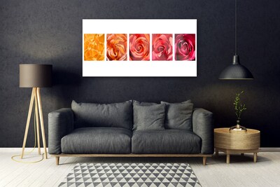 Tableaux sur verre Roses floral jaune orange rouge