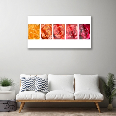 Tableaux sur verre Roses floral jaune orange rouge