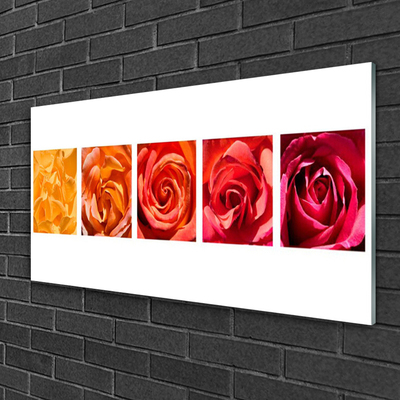 Tableaux sur verre Roses floral jaune orange rouge