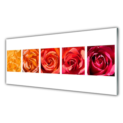 Tableaux sur verre Roses floral jaune orange rouge