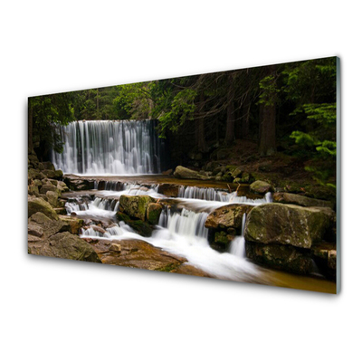 Tableaux sur verre Forêt chute d'eau nature blanc gris brun vert