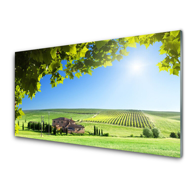 Tableaux sur verre Feuilles champ paysage vert brun