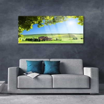 Tableaux sur verre Feuilles champ paysage vert brun