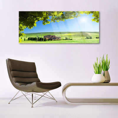 Tableaux sur verre Feuilles champ paysage vert brun