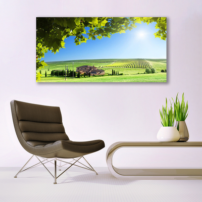 Tableaux sur verre Feuilles champ paysage vert brun