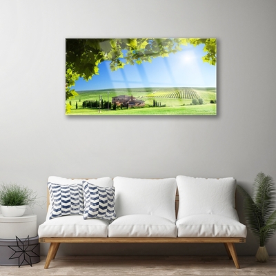 Tableaux sur verre Feuilles champ paysage vert brun