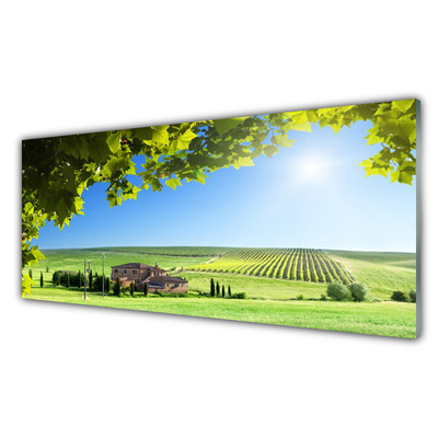 Tableaux sur verre Feuilles champ paysage vert brun