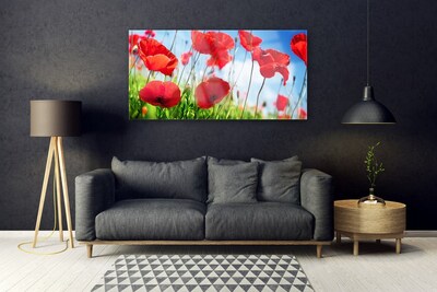 Tableaux sur verre Coquelicots herbe nature rouge vert