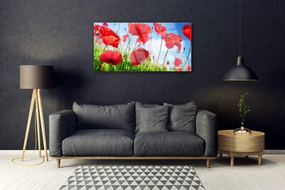 Tableaux sur verre Coquelicots herbe nature rouge vert