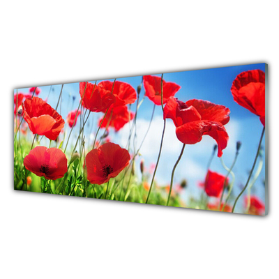 Tableaux sur verre Coquelicots herbe nature rouge vert