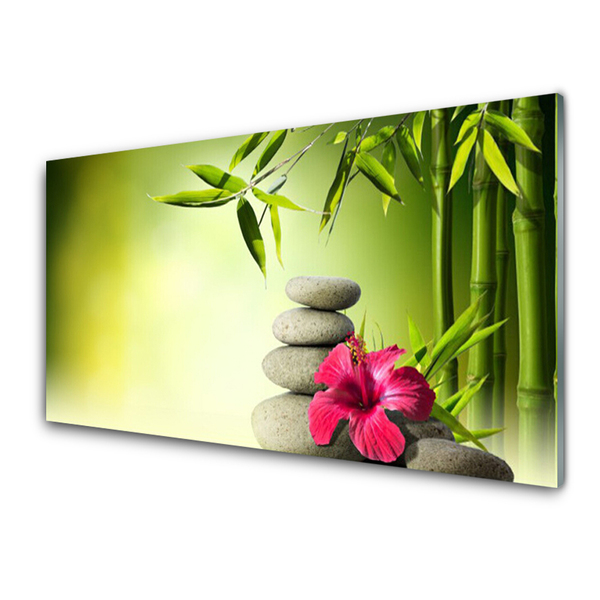 Tableaux sur verre Bambou pierres fleurs floral vert rouge gris