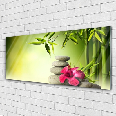 Tableaux sur verre Bambou pierres fleurs floral vert rouge gris