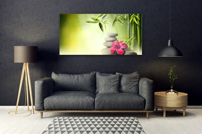 Tableaux sur verre Bambou pierres fleurs floral vert rouge gris