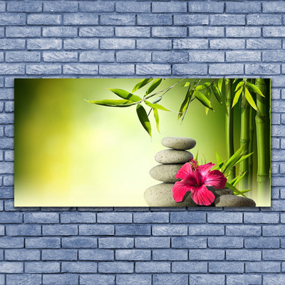 Tableaux sur verre Bambou pierres fleurs floral vert rouge gris