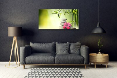 Tableaux sur verre Bambou pierres fleurs floral vert rouge gris