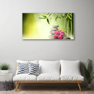 Tableaux sur verre Bambou pierres fleurs floral vert rouge gris