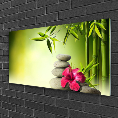 Tableaux sur verre Bambou pierres fleurs floral vert rouge gris
