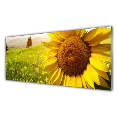 Tableaux sur verre Tournesol floral jaune brun