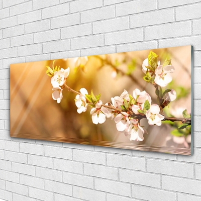 Tableaux sur verre Fleurs floral blanc