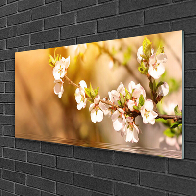 Tableaux sur verre Fleurs floral blanc