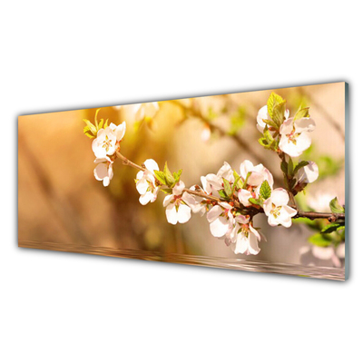 Tableaux sur verre Fleurs floral blanc