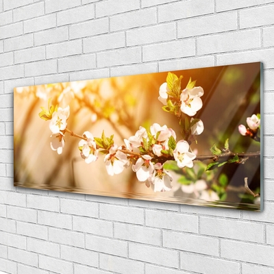 Tableaux sur verre Fleurs floral blanc