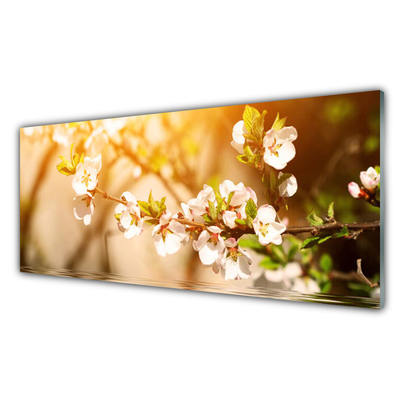 Tableaux sur verre Fleurs floral blanc