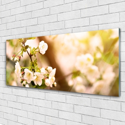 Tableaux sur verre Fleurs floral blanc