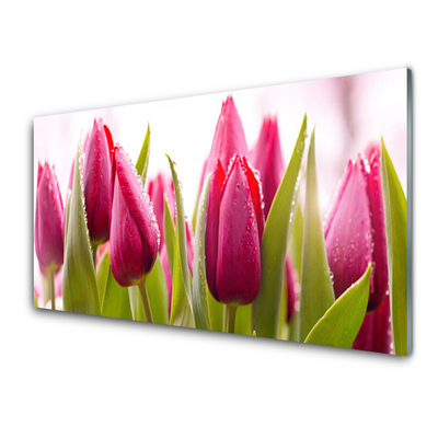 Tableaux sur verre Tulipes floral rouge