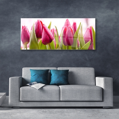 Tableaux sur verre Tulipes floral rouge