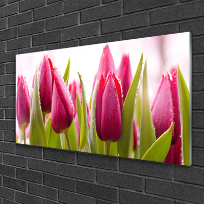 Tableaux sur verre Tulipes floral rouge