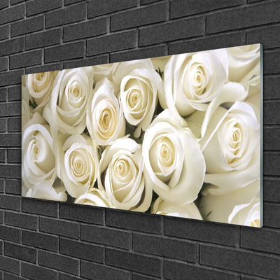 Tableaux sur verre Roses floral blanc