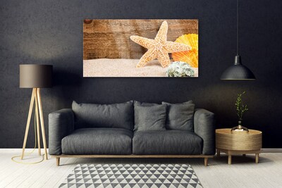 Tableaux sur verre Coquilles étoiles de mer sable art brun jaune gris