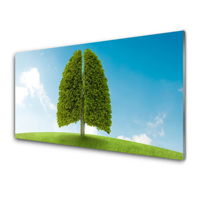 Tableaux sur verre Herbe nature vert