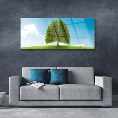 Tableaux sur verre Herbe nature vert