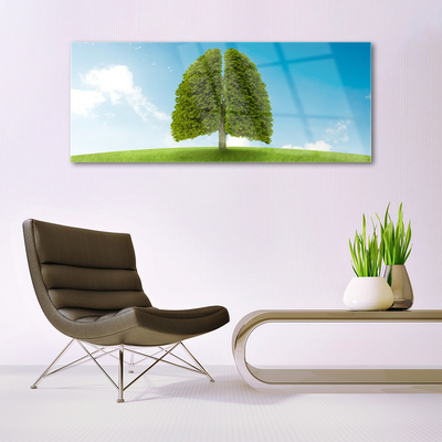 Tableaux sur verre Herbe nature vert