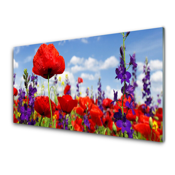 Tableaux sur verre Fleurs floral rouge violet