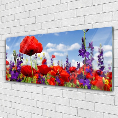 Tableaux sur verre Fleurs floral rouge violet