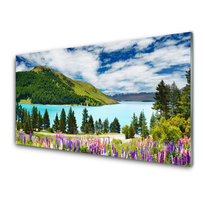 Tableaux sur verre Montagnes lac prairie forêt paysage vert bleu violet rose