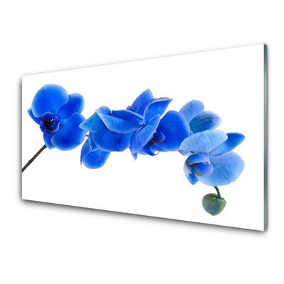 Tableaux sur verre Fleur floral bleu