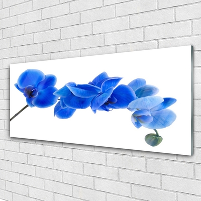 Tableaux sur verre Fleur floral bleu