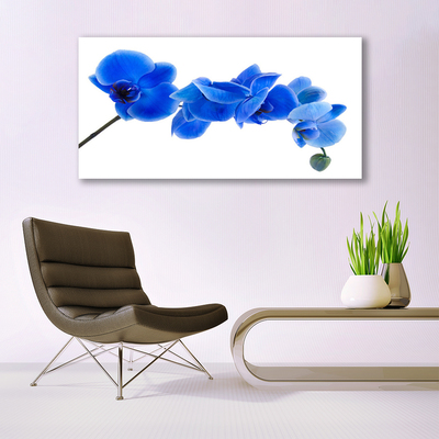 Tableaux sur verre Fleur floral bleu