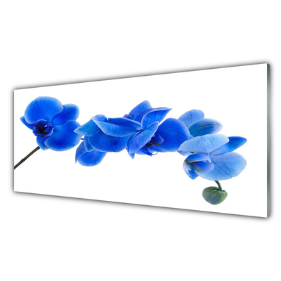 Tableaux sur verre Fleur floral bleu