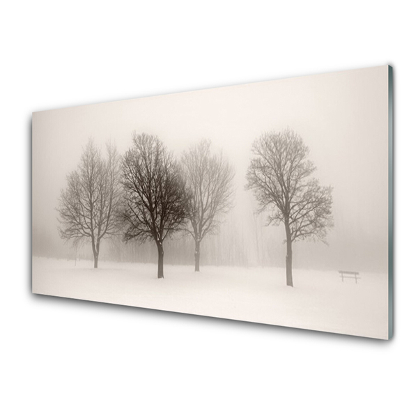 Tableaux sur verre Arbres neige paysage blanc brun
