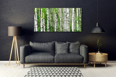 Tableaux sur verre Forêt nature noir blanc vert
