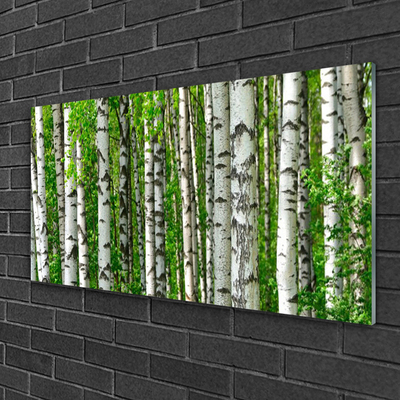 Tableaux sur verre Forêt nature noir blanc vert