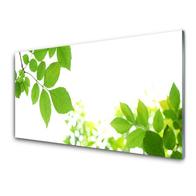 Tableaux sur verre Fleurs feuilles floral blanc vert