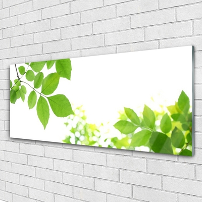 Tableaux sur verre Fleurs feuilles floral blanc vert